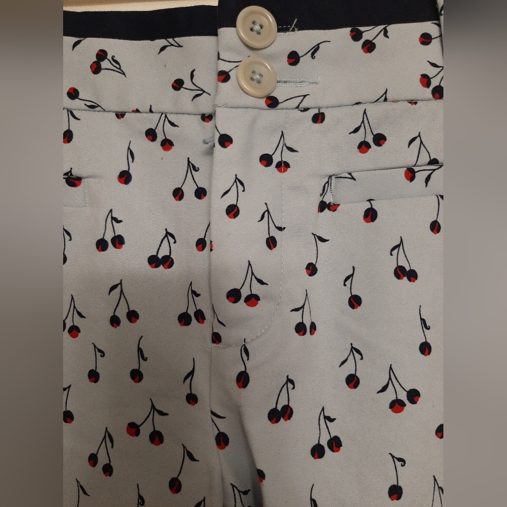 Anthropologie Cartonnier straight leg floral pant size 6